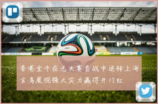 香港金牛在总决赛首战中逆转上海玄鸟展现强大实力赢得开门红