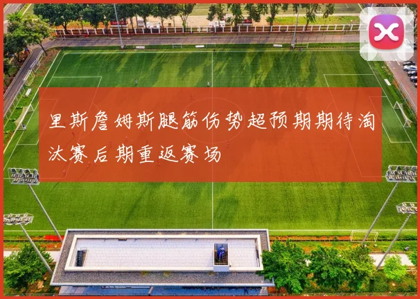 里斯詹姆斯腿筋伤势超预期期待淘汰赛后期重返赛场