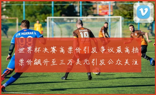 世界杯决赛高票价引发争议最高档票价飙升至三万美元引发公众关注