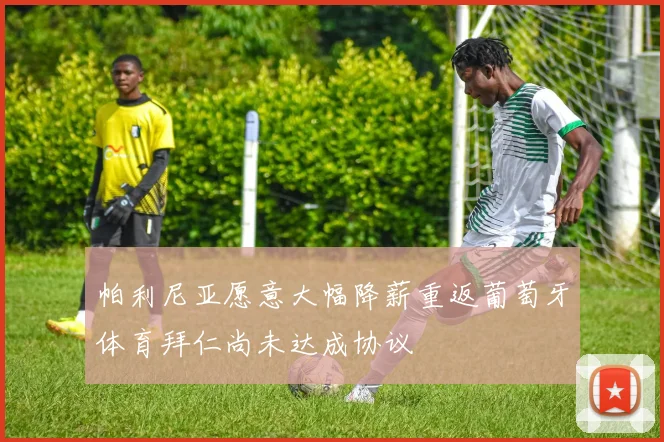 帕利尼亚愿意大幅降薪重返葡萄牙体育拜仁尚未达成协议