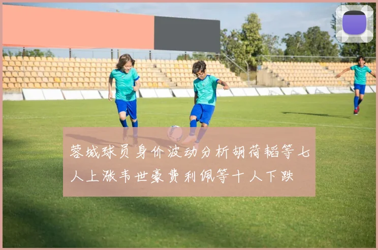 蓉城球员身价波动分析胡荷韬等七人上涨韦世豪费利佩等十人下跌